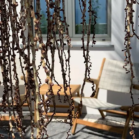 Calheta Boutique * Arco da Calheta (Madeira)